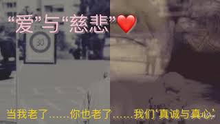 【静悦人文~心得】爱与慈悲 |【Jing Yue Humanity’s Learning】Love and Loving-Kindness