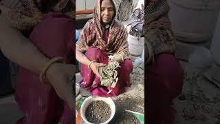 ❤️🌳 #garden #plantsofindia #businessevent #lakshivgardening #nature #viral #viralvideo #shortsfeed