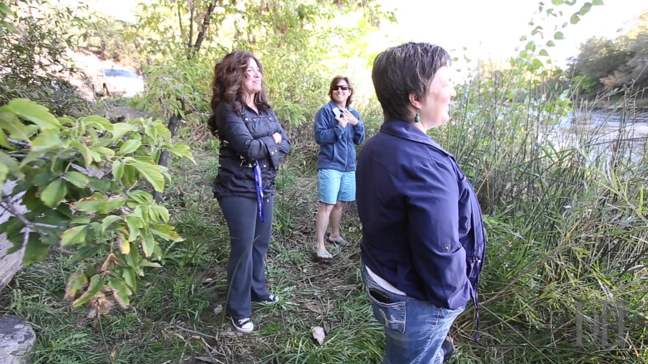 Moose visits the Animas