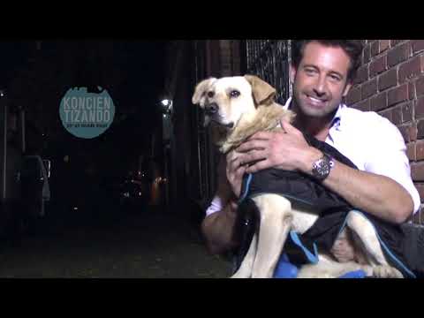 Video: Gabriel Soto: 