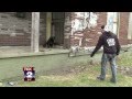 Detroit Dog Fighting Caught on Video Detroit Dog Fighting Caught on Video