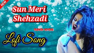 sun meri shehzadi 🥰😘👯 || Lofi Song || music || New Ringtone 😘🥀🥰 screenshot 2