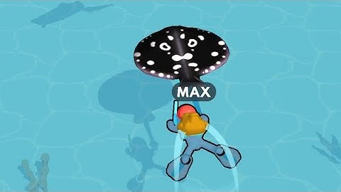 Aquarium Land - All Levels Gameplay Android, iOS