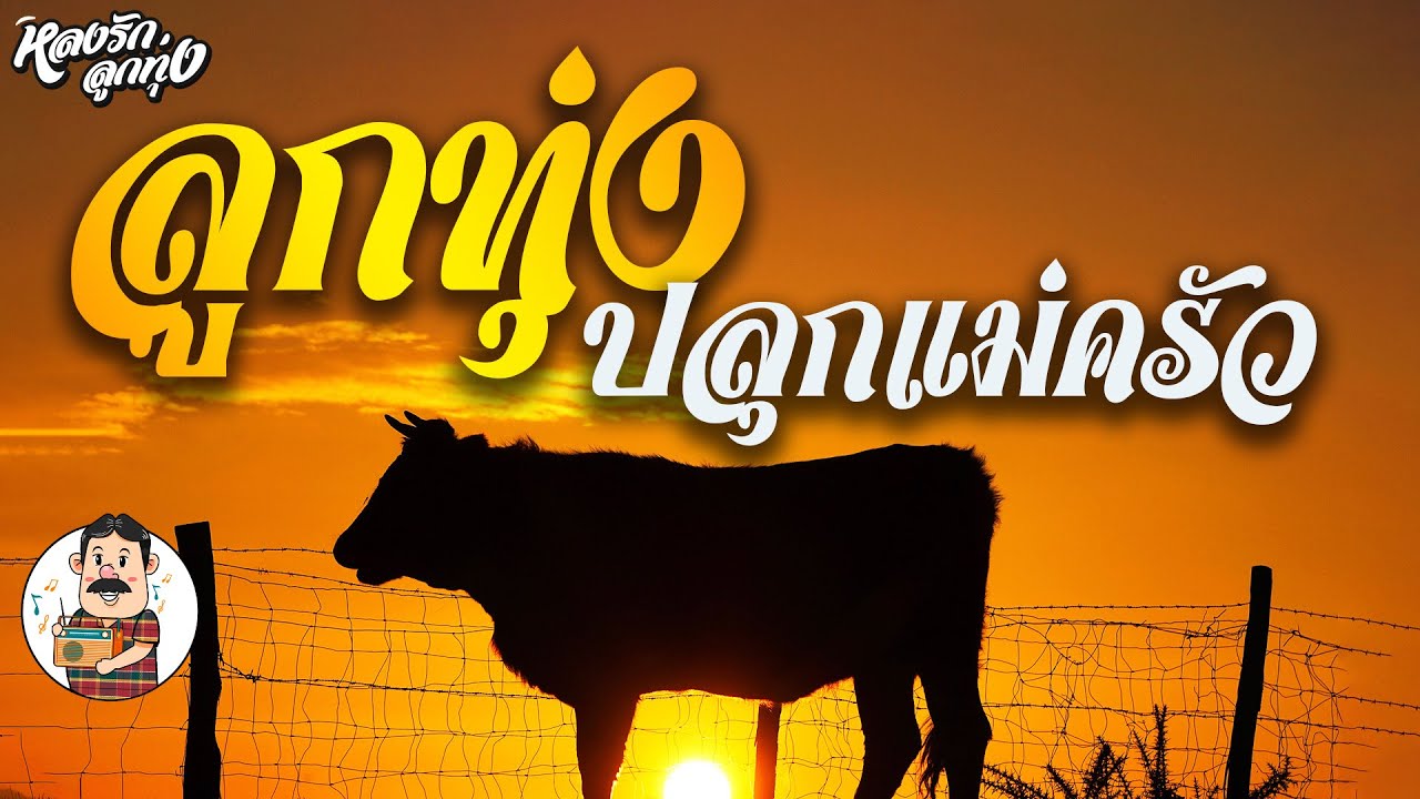 📌{ใบตองรองน้ำตา ,รักบริสุทธิ์ } ลูกทุ่งปลุกแม่ครัว