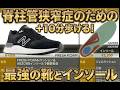 【脊柱管狭窄症】この靴と神インソールで歩け!!+10分歩行時間延長を目指せる!!
