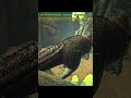 Meatrunning Crystal Isles Spider Cave! - Ark: Survival Evolved