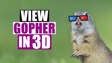 View Gopherspace In 3D With GopherVR