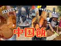 🐲中国飯！【うまそう？マズそう？】