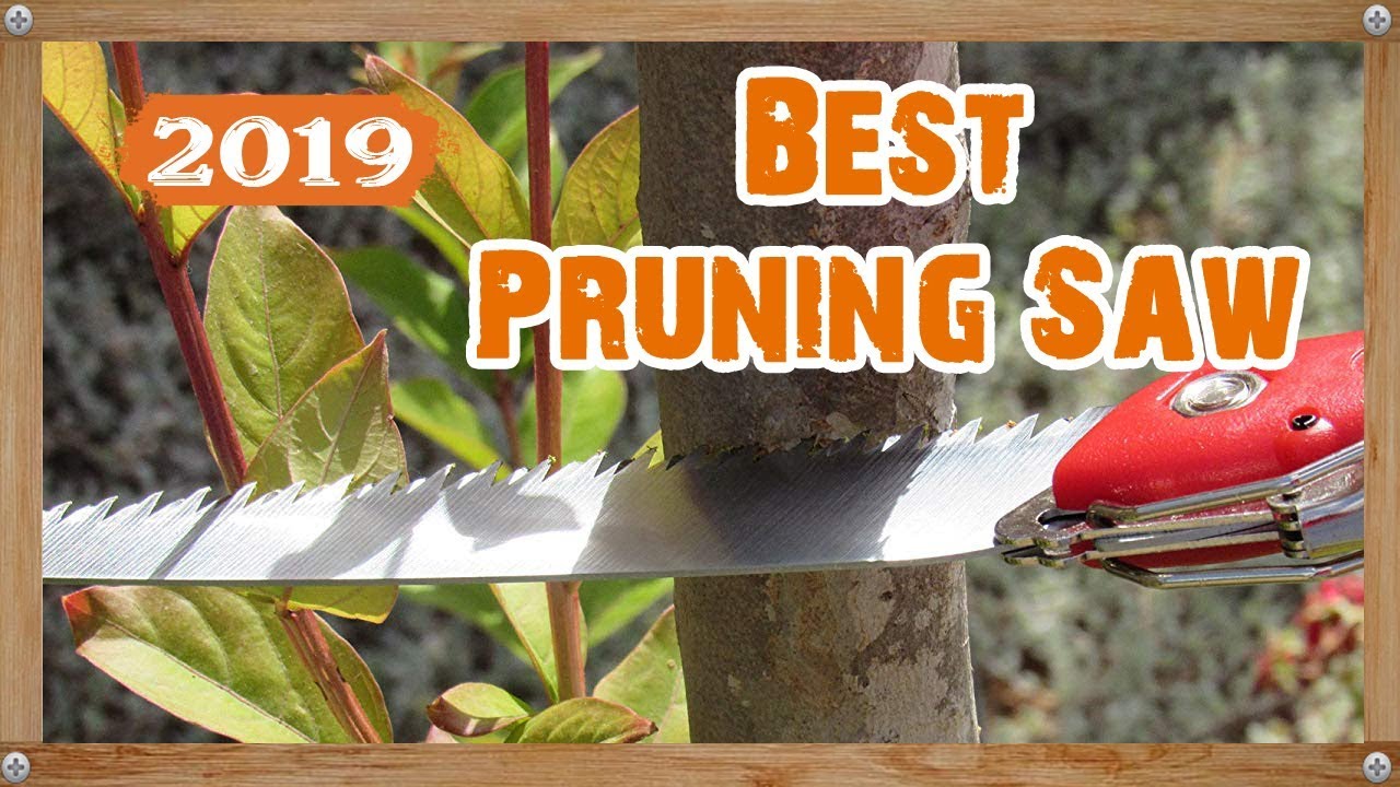 Best Pruning Saw 2019 Pruning Saw YouTube