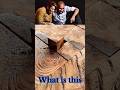 what is this?🎁😲#shorts #funny #viral