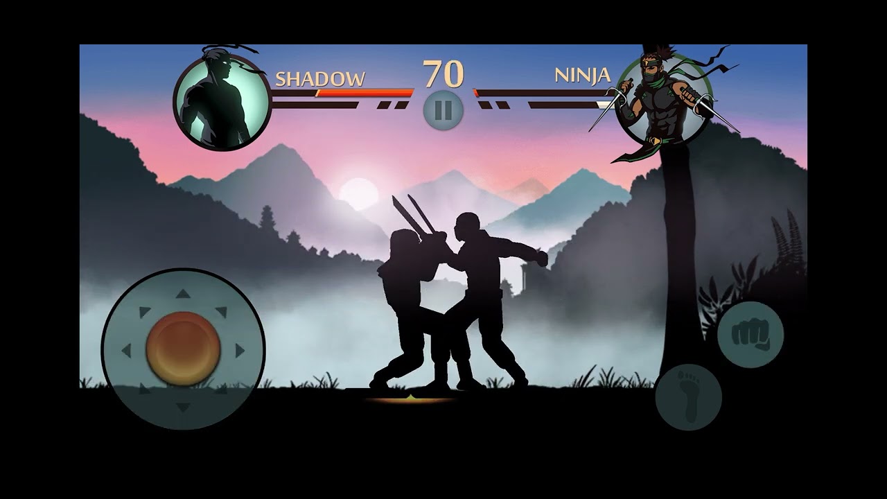 Shadow Vs Ninja EXTRA 7