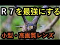 EOS R7 を最強にするレンズ。