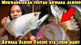 IKAN ARWANA ALBINO 4 EKOR  SAMBAL COBEK SEHARGA SAPI KURBAN