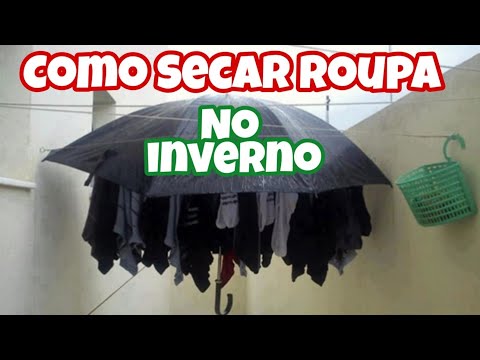 Vídeo: Como Secar Azeda Para O Inverno?