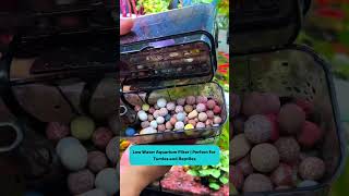 Low Water Aquarium Filter | Perfect for Turtles and Reptiles