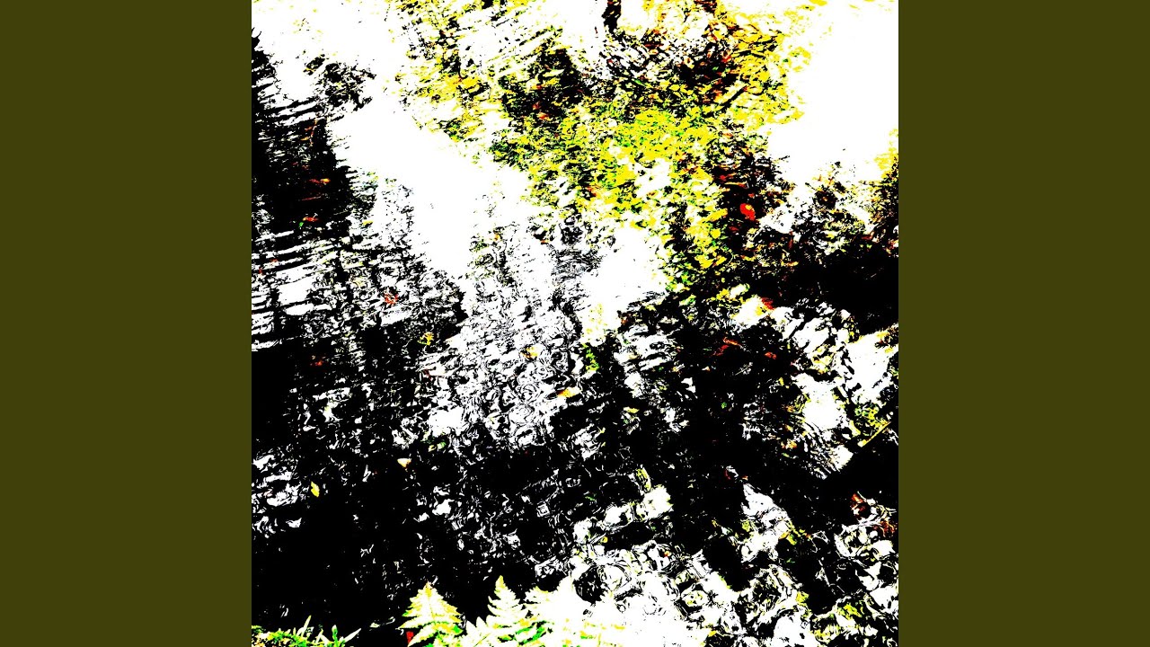 Watch rain forest on YouTube Watch rain forest on YouTube
