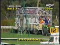 يارا جلين السبت 11 أبريل 1987