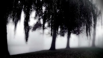 La Lune Noire - Point of no Return [Official Music Video]