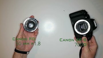 3D Printed Canon lens adapter #Shorts