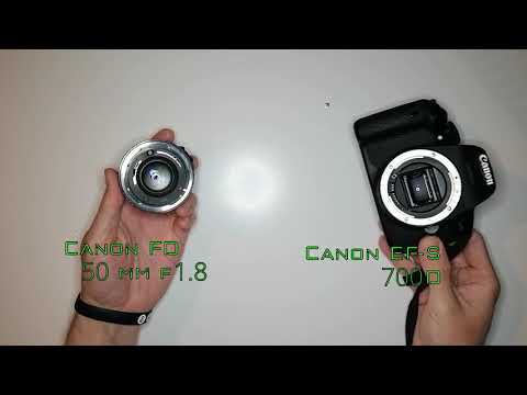 3D Printed Canon lens adapter #Shorts