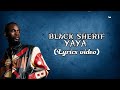 Black Sherif - YAYA (Lyrics Video)