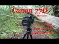 Canon 77D - 6 Month Review - Is a Crop Sensor Still a Good Camera?