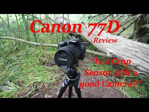 Canon 77D -