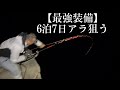 【最強装備】で釣房エム社長と巨大アラを狙う