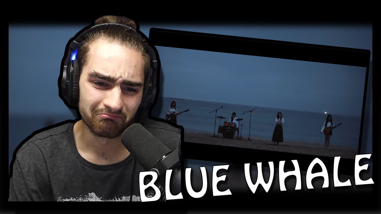 Реакция на специальный клип QWER «Синий кит»