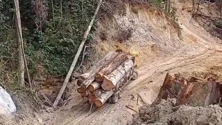 Extreme Timber Truck | Stewong