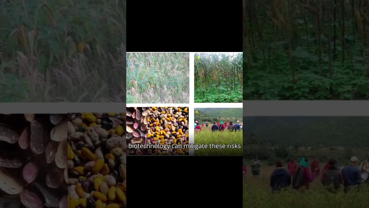 Biotechnology Balancing Innovation & Biodiversity!