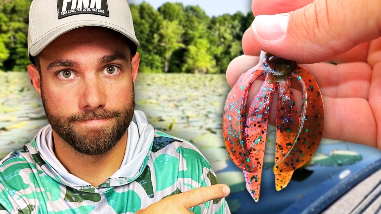 Я ненавижу это в рыбалке.