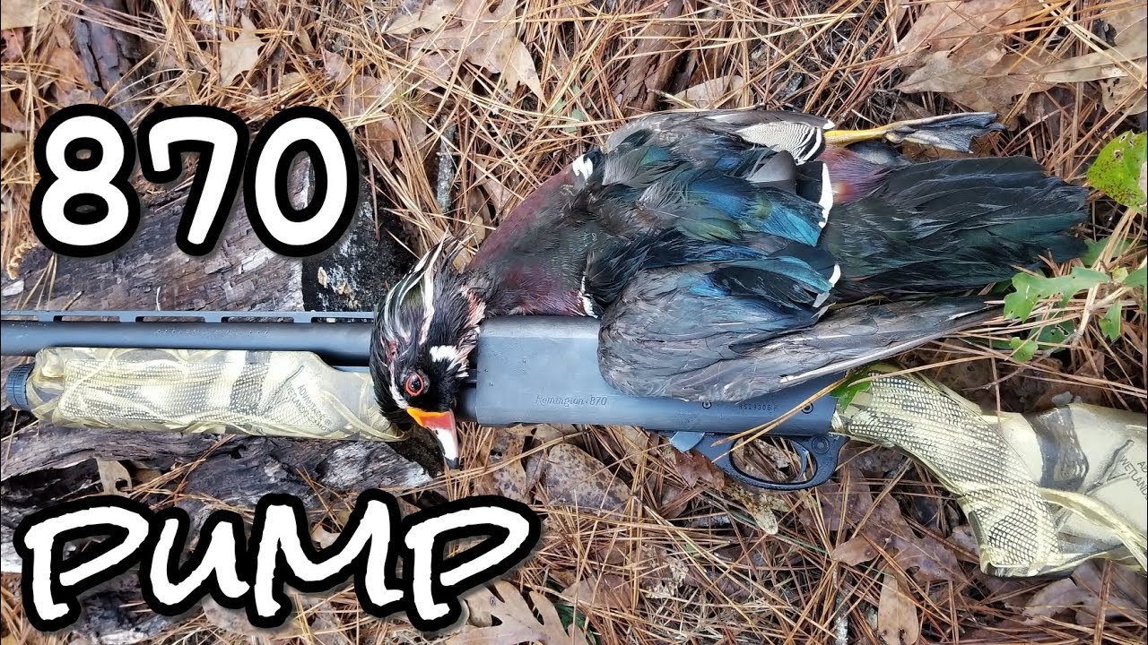 Remington 870 Wood Duck Hunt YouTube