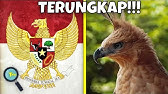 Mengapa Garuda Dijadikan Lambang Negara Indonesia Youtube