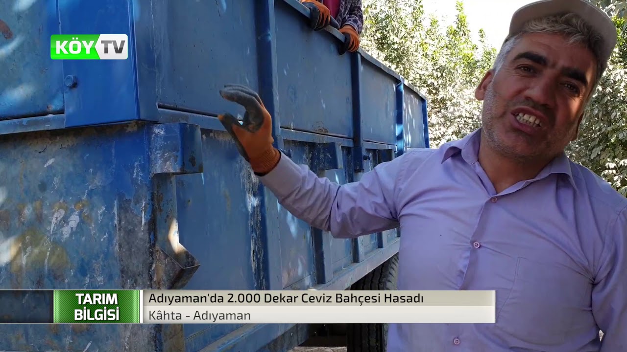 Adıyaman Kahta Ceviz Hasadı ve Çiftçi Röoportajları
