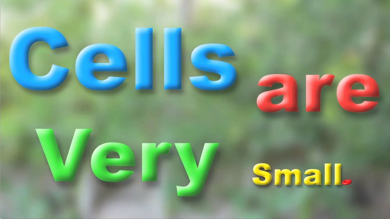 How Small is a Cell? (Video Contest) YouTube