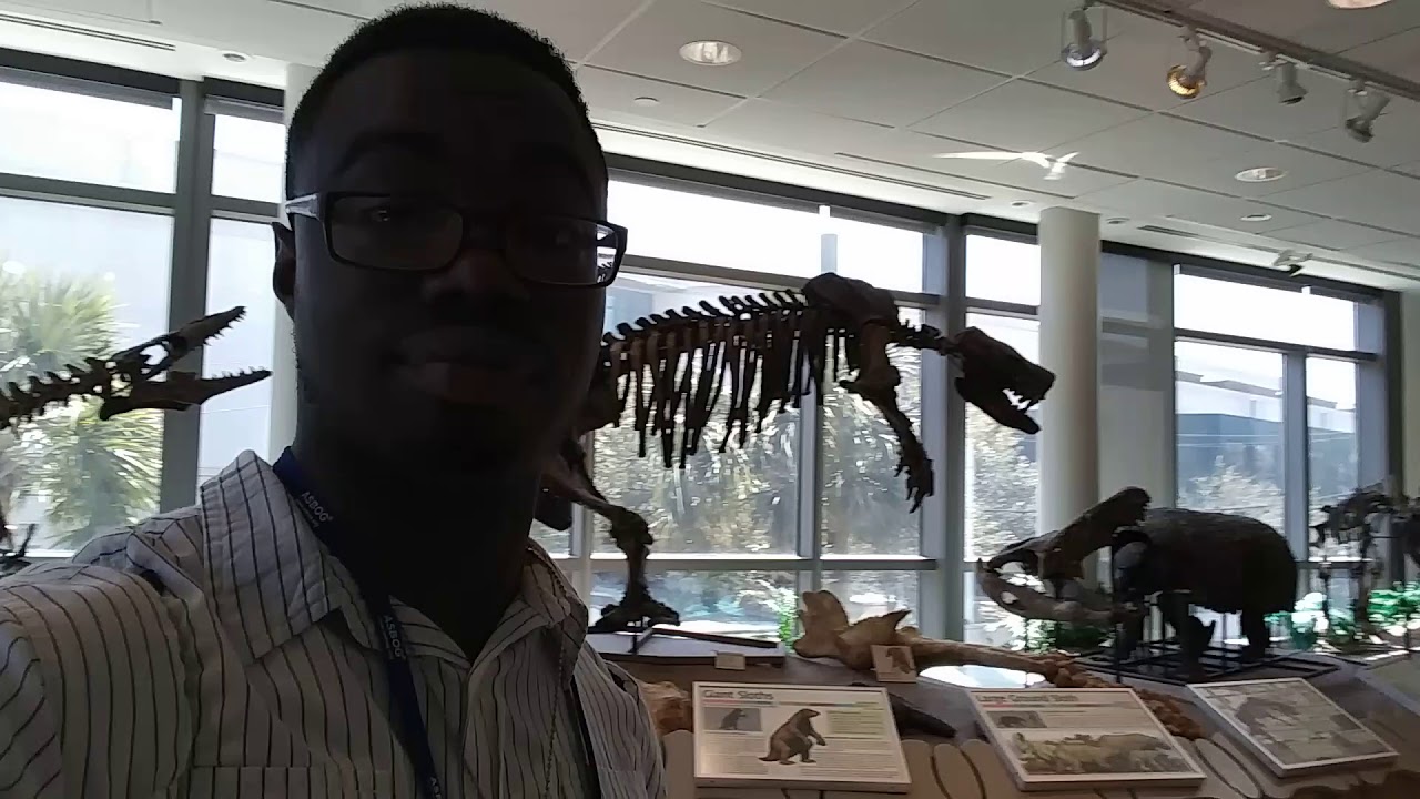 360 view of the Mace Brown Museum in Charleston, South Carolina. YouTube