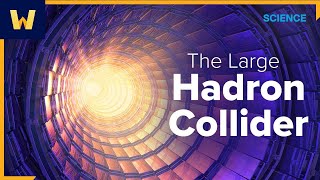 The Large Hadron Collider | Sean Carroll