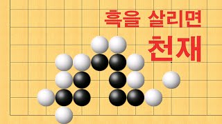 바둑 묘수 사활 - 흑을 살리면 바둑천재가 될 수 있습니다.