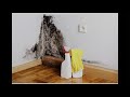 Parties 3- Etudiant Logement / Parts 2&1: https://youtu.be/l0SFc6CaDMM https://youtu.be/l0SFc6CaDMM