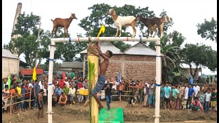 Who can climb the oiled banana tree If you can, there is a special prize #mrbeast #alamin9930