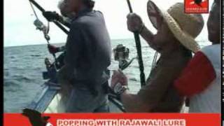Fishing Popping With Rajawali Lure