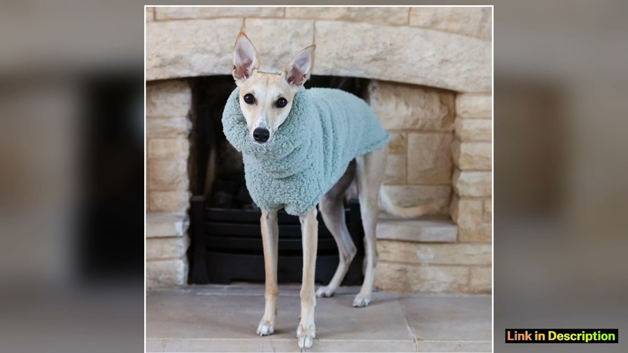 Winter Fleece Sweater for Little Greyhound HighNeck Short Warm Sleeves Sweatshirt For Whipbit Dogs