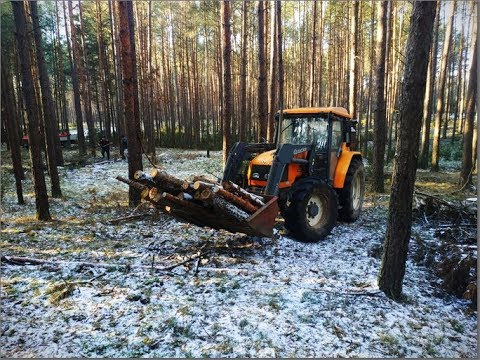 renia-jak-dzik-w-lesie!-vlog-139---leśne-porządki---rolnik-nieprofesjonalny