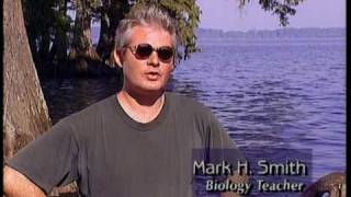 Science: The scientific method