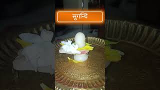 Download Mp3 mahamrityunjay mantra | Om tryambakam yajamahe sugandhim pushtivardhanam #mahadev #mahakal Gudang lagu Download Mp3 mahamrityunjay mantra | Om tryambakam yajamahe sugandhim pushtivardhanam #mahadev #mahakal