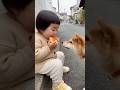 追いついたwww #ai #柴犬 #shorts