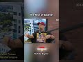 The Rise Of Dashie 