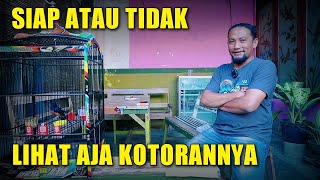 SIAP ATAU TIDAK‼️lihat saja kotorannya