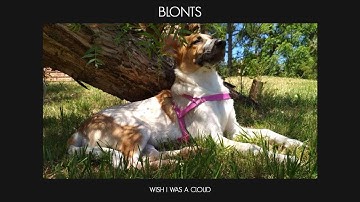 Blonts - Wish I was a cloud